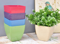 Colored Plastic Flower Pot for Greenhouse