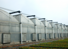 Expert Advice On Vegetable PC Greenhouse-Bozong