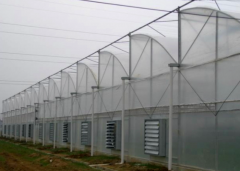 Vegetable PC Greenhouse-Bozong Greenhouse