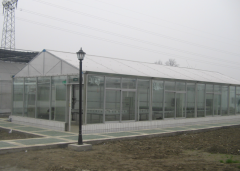 Best Price Scientific Research Greenhouse-Bozong