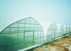 Polytunnel|Tunnel Greenhouse For Sale-Bozong Greenhouse