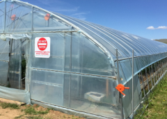 Tunnel Film Greenhouse-Bozong Greenhouse