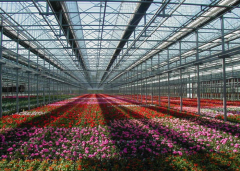 Hot Sale Plexiglass Greenhouse-Bozong Greenhouse