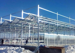 commercial glass for greenhouse-Bozong Greenhouse
