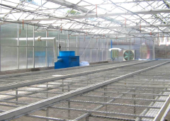 Seedling Bed|Plant nursery For Sale-Bozong Greenhouse