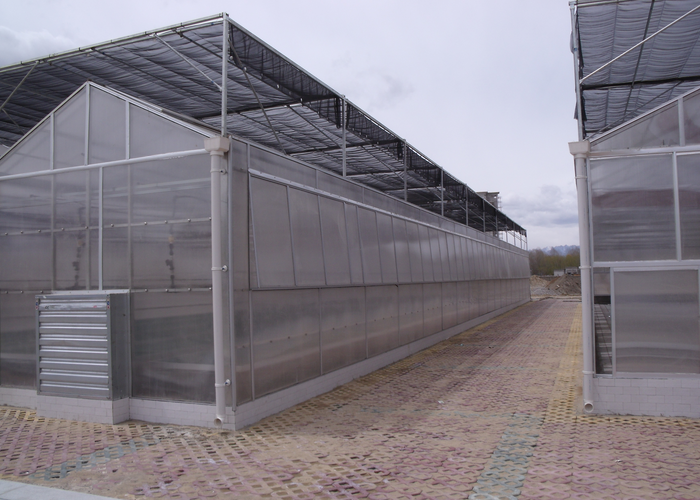 Polycarbonate Greenhouse