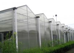 Polycarbonate (PC) Sheet Greenhouse for Vegetable-Bozong