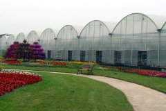 <b>60% Discount On Multi-Span Film Greenhouse</b>