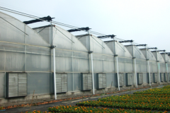 <b>The Sawtooth Greenhouse</b>