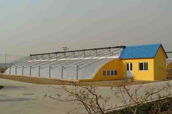 <b>The Sunlight Greenhouse</b>