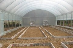 Single Span Film Greenhouse-Bozong Greenhouse