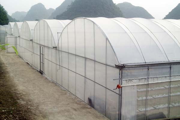 flower film greenhouse