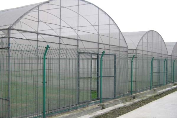 film greenhouse