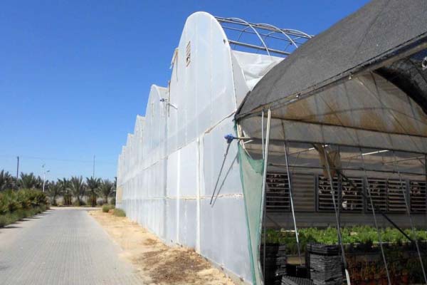 Plastic Film Greenhouse