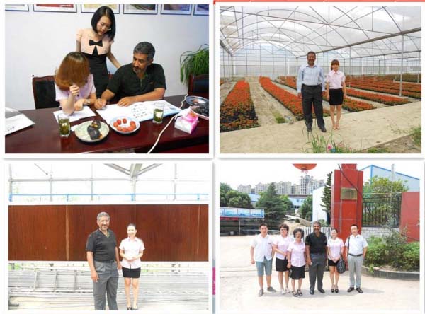 Customer Visiting Polycarbonate (PC) Sheet Greenhouse for Eco-Restaurant