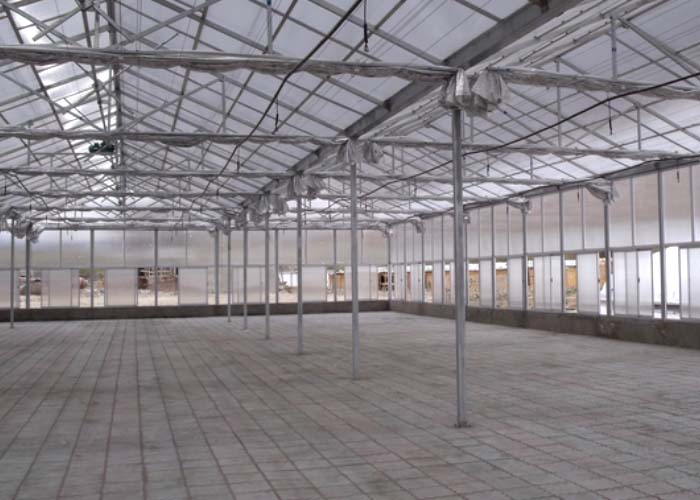 Polycarbonate Greenhouse