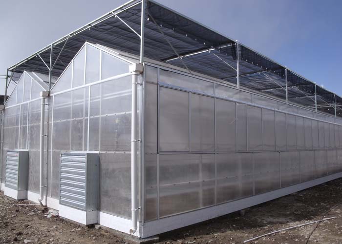 Polycarbonate Greenhouse