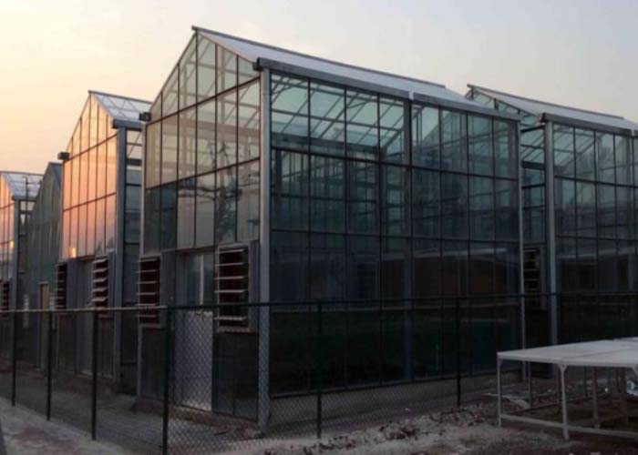 Commercial Glass Greenhouse