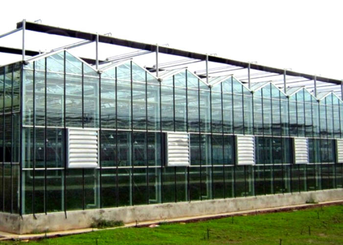 Commercial Glass Greenhouse