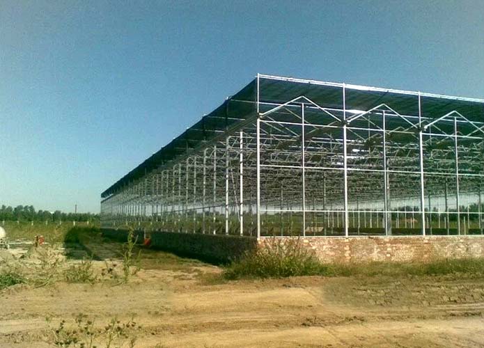 Commercial Glass Greenhouse