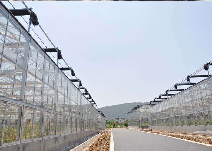 Commercial Glass Greenhouse