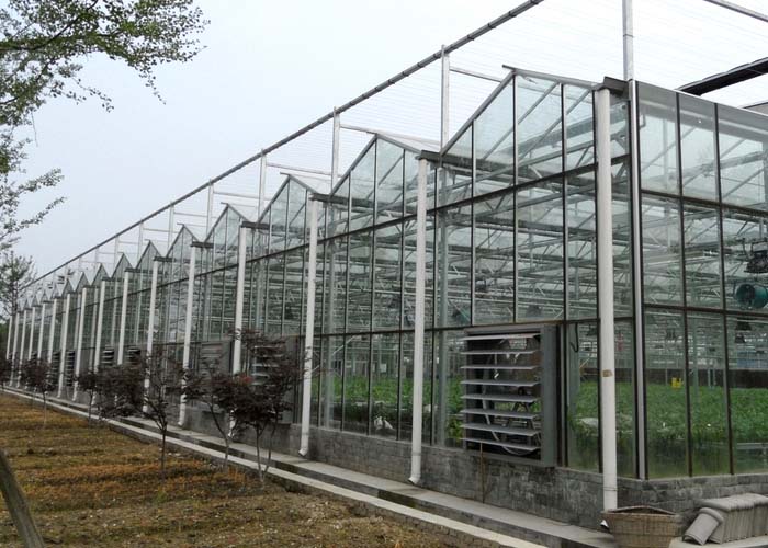 Commercial Glass Greenhouse