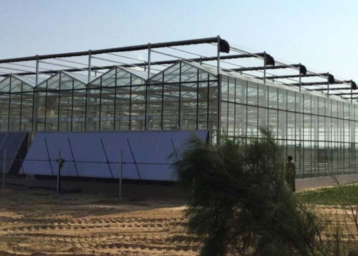 Hot Sale Glass Greenhouse