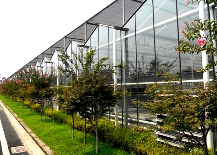 Glass Greenhouse