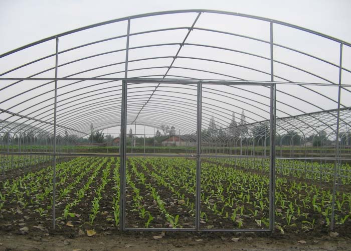 Tunnel Greenhouse