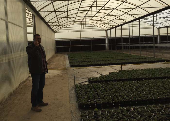 Tunnel Greenhouse