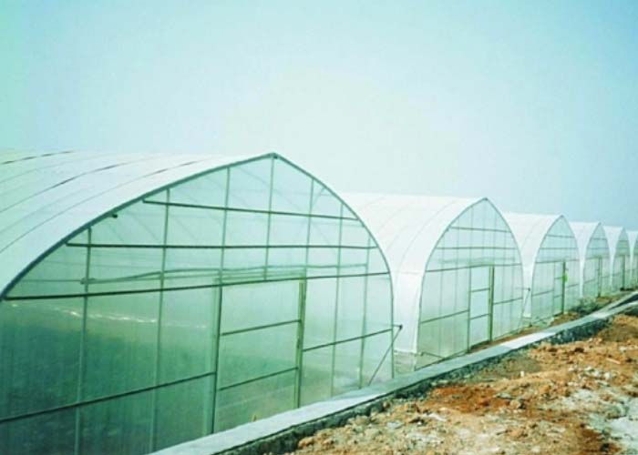 Tunnel Greenhouse