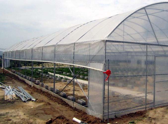 Tunnel Greenhouse