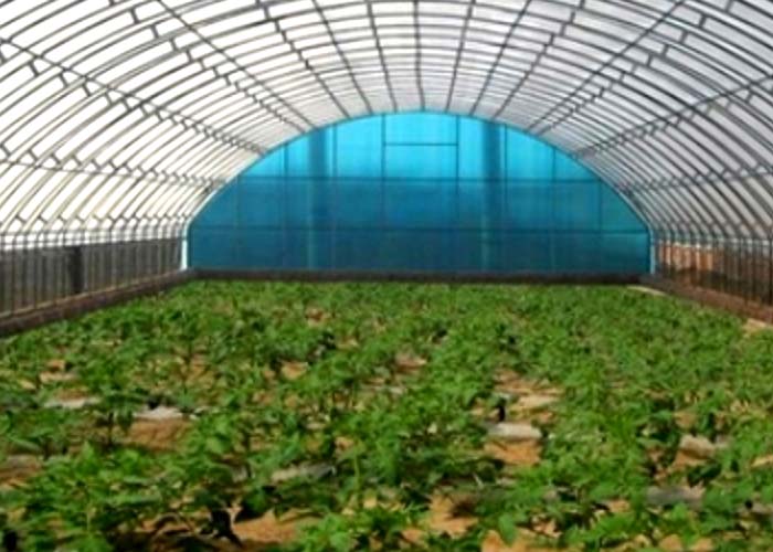 Tunnel Greenhouse