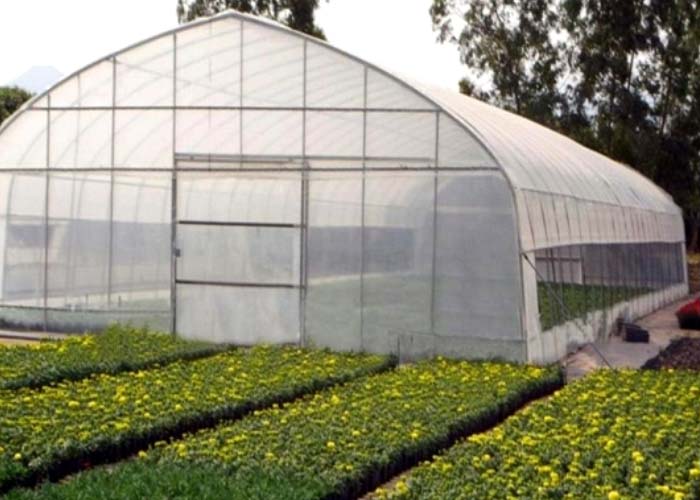 Tunnel Greenhouse