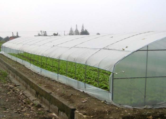 Tunnel Greenhouse