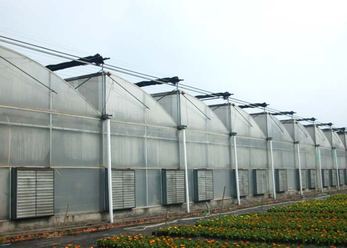 Vegetable PC Greenhouse