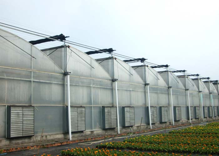 Vegetable PC Greenhouse