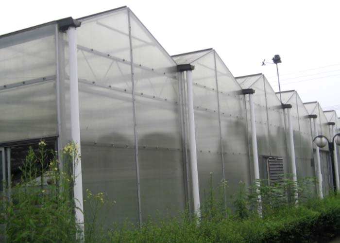 Vegetable PC Greenhouse