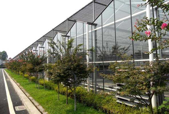 Flower Greenhouse（outside）