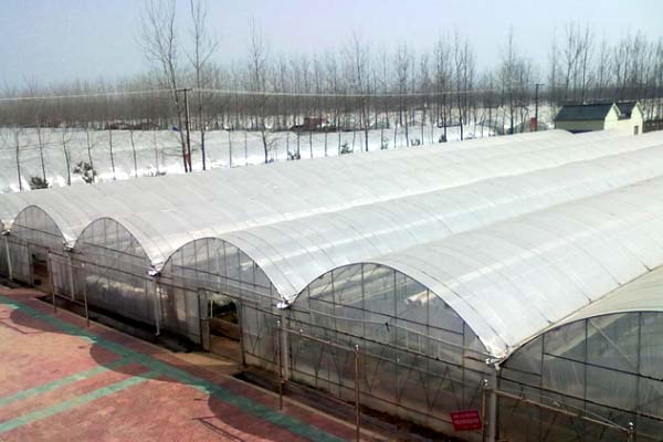 flower film greenhouse