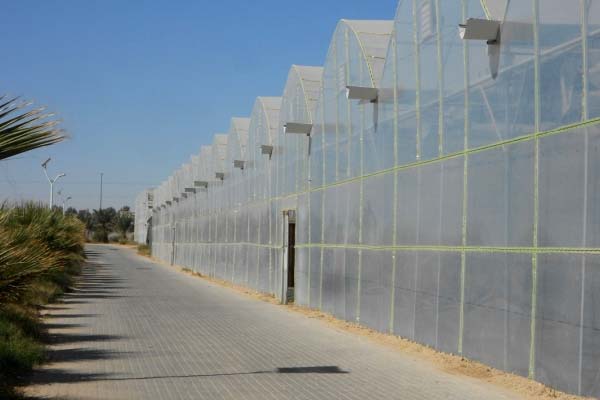 flower film greenhouses