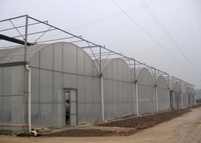 Drip Irrigation System