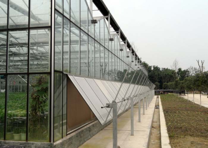 Multi Span Glass Greenhouse