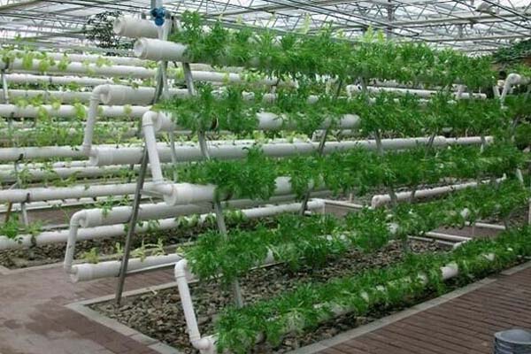 Hydroponics System