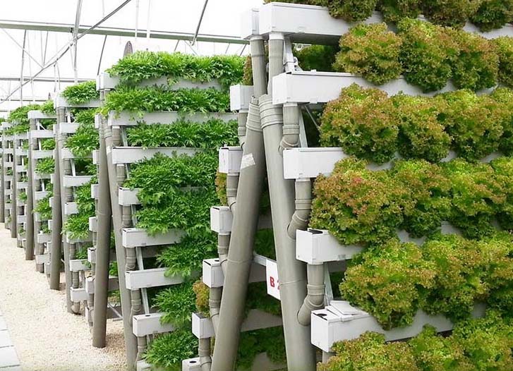 Hydroponics System