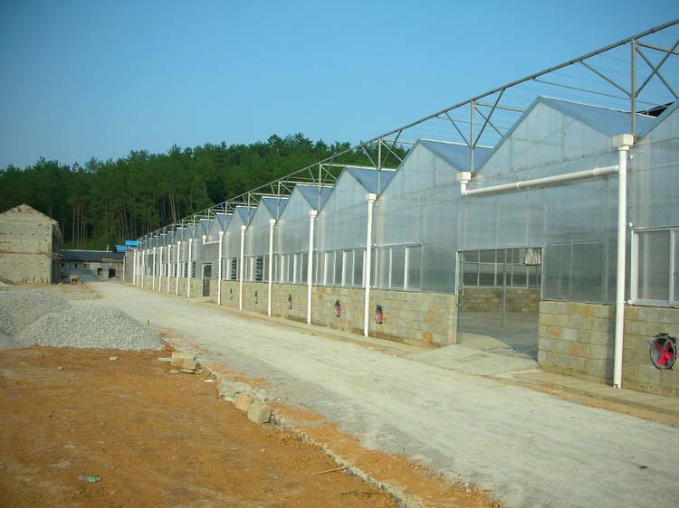 The realistic picture for seedling workshop PC board greenhouse
