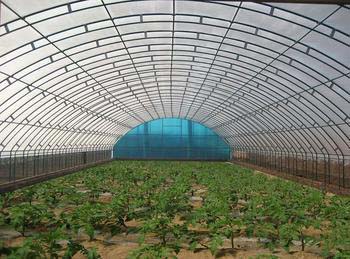 Plastic greenhouses