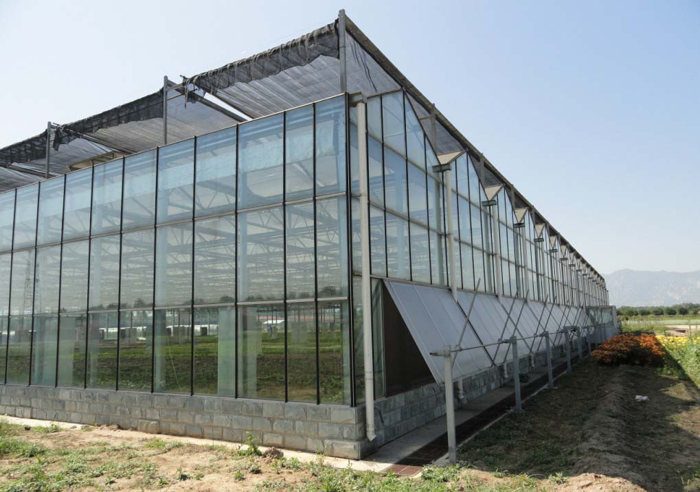 plastic greenhouse