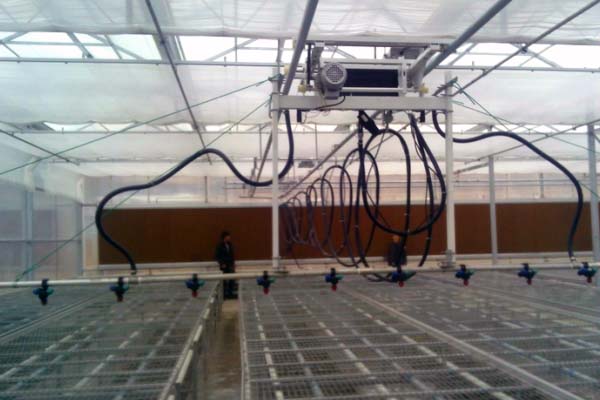 Multifunction Automatic Control for Greenhouse