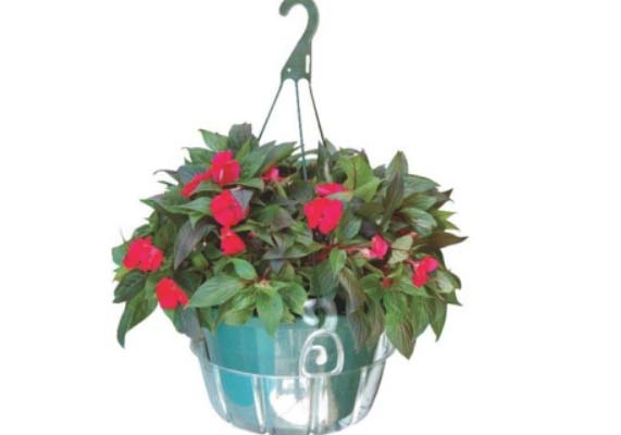 Plastec Hanging Flower Pot Saucer